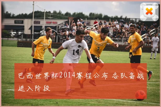 巴西世界杯2014赛程公布 各队备战进入阶段